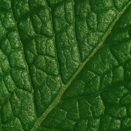 Sprig ring, 18k Gold-plated with Green stone