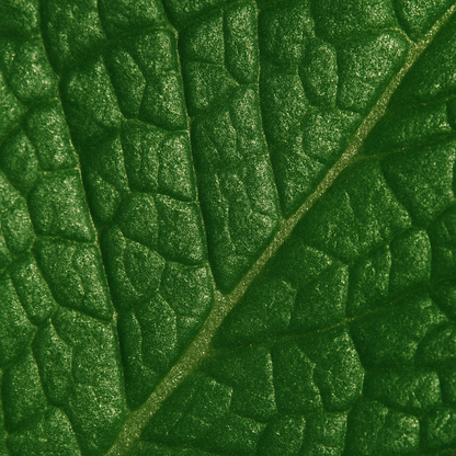 Sprig ring, 18k Gold-plated with Green stone