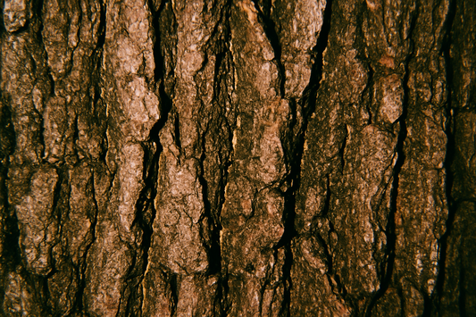 Bark ring, 18k Gold-plated